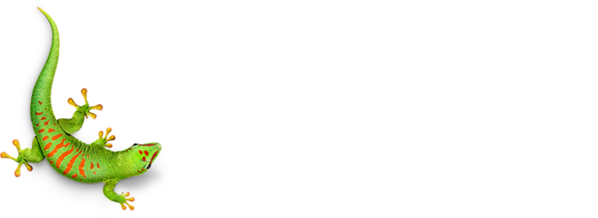Bostik_Logo21_STD_S_3C_N.png