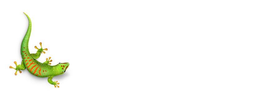 N_Bostik_Logo21.png